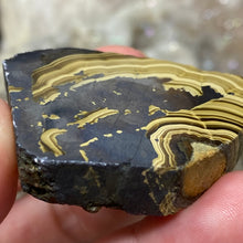 将图像加载到图库查看器中,Schalenblende Semi Polished Slice #08