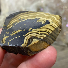 将图像加载到图库查看器中,Schalenblende Semi Polished Slice #08