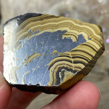 将图像加载到图库查看器中,Schalenblende Semi Polished Slice #08