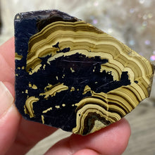 将图像加载到图库查看器中,Schalenblende Semi Polished Slice #08