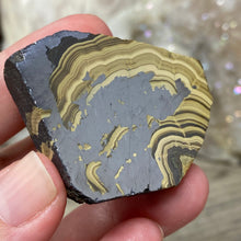 将图像加载到图库查看器中,Schalenblende Semi Polished Slice #08