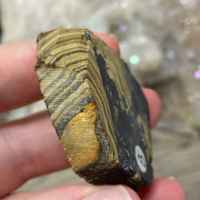 将图像加载到图库查看器中,Schalenblende Semi Polished Slice #08