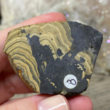 将图像加载到图库查看器中,Schalenblende Semi Polished Slice #08