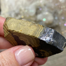 将图像加载到图库查看器中,Schalenblende Semi Polished Slice #08