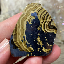 将图像加载到图库查看器中,Schalenblende Semi Polished Slice #08