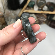 Bild in Galerie-Viewer laden, Labradorite Elephant Large #03