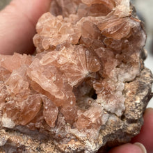 Bild in Galerie-Viewer laden, Pink Amethyst Large Geode Cluster #07