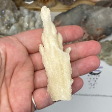 Chargez l'image dans la visionneuse de la galerie, Scolecite with Calcite Specimen #02