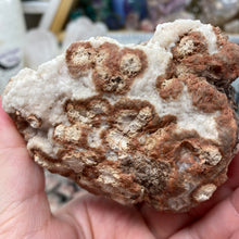 Bild in Galerie-Viewer laden, Pink Amethyst Large Geode Cluster #04
