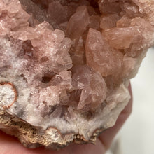 Bild in Galerie-Viewer laden, Pink Amethyst Large Geode Cluster #04