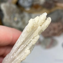 Chargez l'image dans la visionneuse de la galerie, Scolecite with Calcite Specimen #01