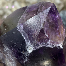 Load image into Gallery viewer, Royal Amethyst Extra Quality X-Large Point from Bahia, Brazil #08