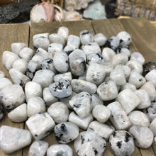 Bild in Galerie-Viewer laden, White Rainbow Moonstone Tumbled Stones