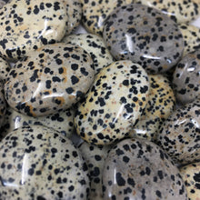 Load image into Gallery viewer, Dalmatian Jasper Pillow Palm Stones