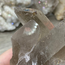 Cargar imagen en el visor de la galería, Rutilated Smoky Quartz Cluster Parcel Set