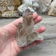 Cargar imagen en el visor de la galería, Rutilated Smoky Quartz Cluster Parcel Set