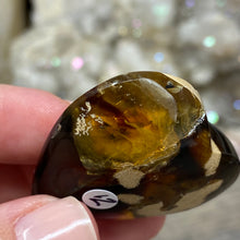Bild in Galerie-Viewer laden, Amber Puffy Heart Palm Stone #12