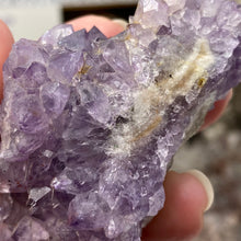Load image into Gallery viewer, Thunder Bay Amethyst Cluster #01
