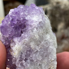 Bild in Galerie-Viewer laden, Thunder Bay Amethyst Cluster #02