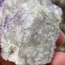 Bild in Galerie-Viewer laden, Thunder Bay Amethyst Cluster #02