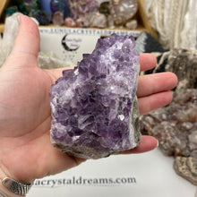 Cargar imagen en el visor de la galería, Thunder Bay Amethyst Cluster #04