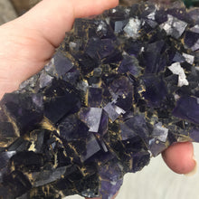 Chargez l'image dans la visionneuse de la galerie, Fluorite Cube Specimen #8