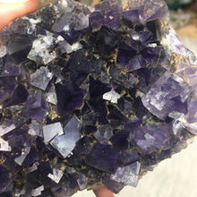 Chargez l'image dans la visionneuse de la galerie, Fluorite Cube Specimen #8