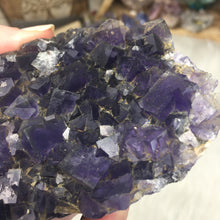 Chargez l'image dans la visionneuse de la galerie, Fluorite Cube Specimen #8