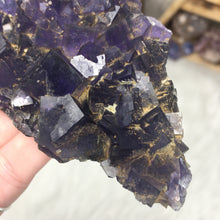 Chargez l'image dans la visionneuse de la galerie, Fluorite Cube Specimen #8