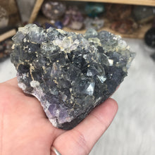 Chargez l'image dans la visionneuse de la galerie, Fluorite Cube Specimen #3