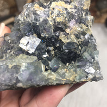 Chargez l'image dans la visionneuse de la galerie, Fluorite Cube Specimen #3