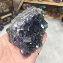 Chargez l'image dans la visionneuse de la galerie, Fluorite Cube Specimen #7