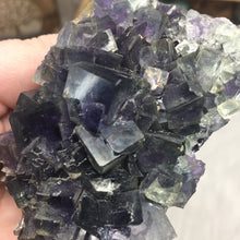 Chargez l'image dans la visionneuse de la galerie, Fluorite Cube Specimen #7