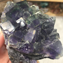 Chargez l'image dans la visionneuse de la galerie, Fluorite Cube Specimen #7