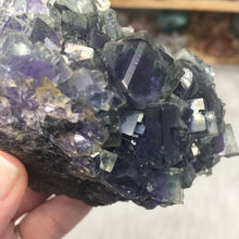 Chargez l'image dans la visionneuse de la galerie, Fluorite Cube Specimen #7