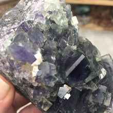 Chargez l'image dans la visionneuse de la galerie, Fluorite Cube Specimen #7