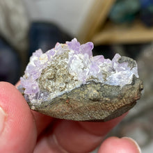 Chargez l'image dans la visionneuse de la galerie, Amethyst Crystals on Sparkling Quartz Chalcedony - India Specimen #06