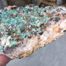 将图像加载到图库查看器中,<transcy>Rosasite 集群 #5</transcy>