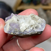Chargez l'image dans la visionneuse de la galerie, Amethyst Crystals and Chabazite on Sparkling Quartz Chalcedony in Basalt - India Specimen #10