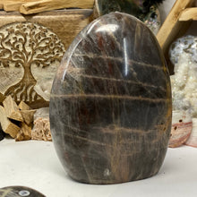 Bild in Galerie-Viewer laden, Black Moonstone Large Freeform #01