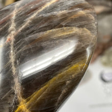 Bild in Galerie-Viewer laden, Black Moonstone Large Freeform #01