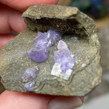 Chargez l'image dans la visionneuse de la galerie, Amethyst Crystals on Sparkling Quartz Chalcedony - India Specimen #15