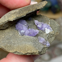 Chargez l'image dans la visionneuse de la galerie, Amethyst Crystals on Sparkling Quartz Chalcedony - India Specimen #15