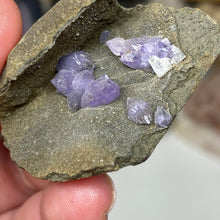 Chargez l'image dans la visionneuse de la galerie, Amethyst Crystals on Sparkling Quartz Chalcedony - India Specimen #15
