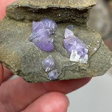 Chargez l'image dans la visionneuse de la galerie, Amethyst Crystals on Sparkling Quartz Chalcedony - India Specimen #15