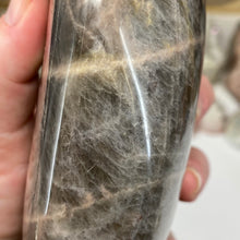 Bild in Galerie-Viewer laden, Black Moonstone Large Freeform #01