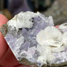 Chargez l'image dans la visionneuse de la galerie, Amethyst Crystals and Chabazite on Sparkling Quartz Chalcedony in Basalt - India Specimen #16