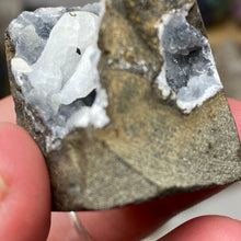 Chargez l'image dans la visionneuse de la galerie, Amethyst Crystals on Sparkling Quartz Chalcedony - India Specimen #19