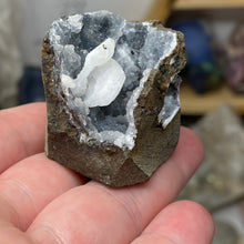 Chargez l'image dans la visionneuse de la galerie, Amethyst Crystals on Sparkling Quartz Chalcedony - India Specimen #19