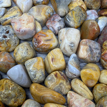 将图像加载到图库查看器中,Crazy Lace Agate 10-15mm Tumbles